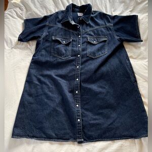 Levi's Elowen Western Denim Dress